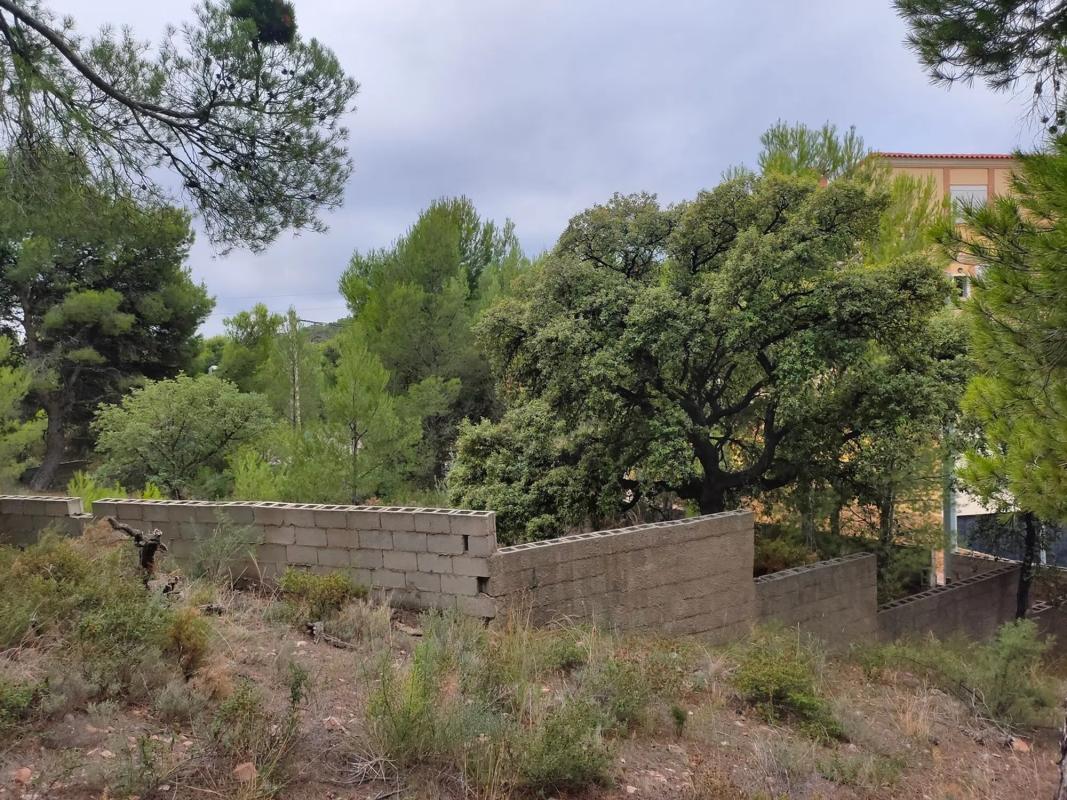 Terreno en venta en Serra, Valencia photo 4