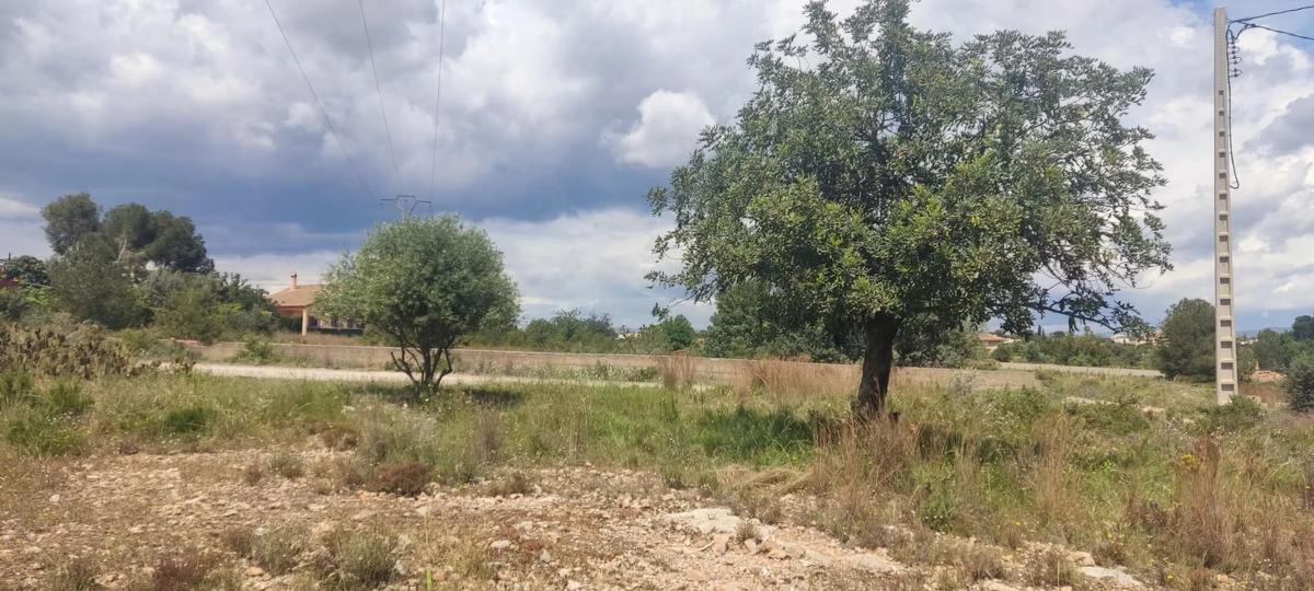 Działka na sprzedaż w Llíria, Walencja photo 2