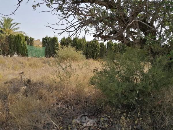 Terreno en Urbanización Caramello K9-8, 133 Parcela photo 1
