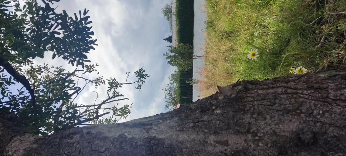 Działka na sprzedaż w Llíria, Walencja photo 4