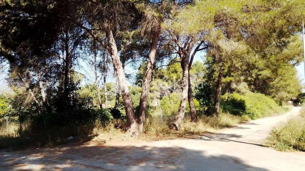 Terreno en venta en Riba-Roja de Túria, Valencia photo 1