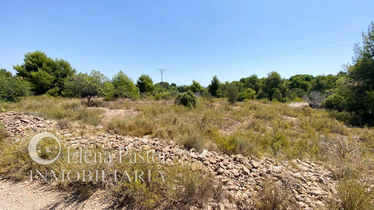 Terreno en venta en Bétera, Valencia photo 2