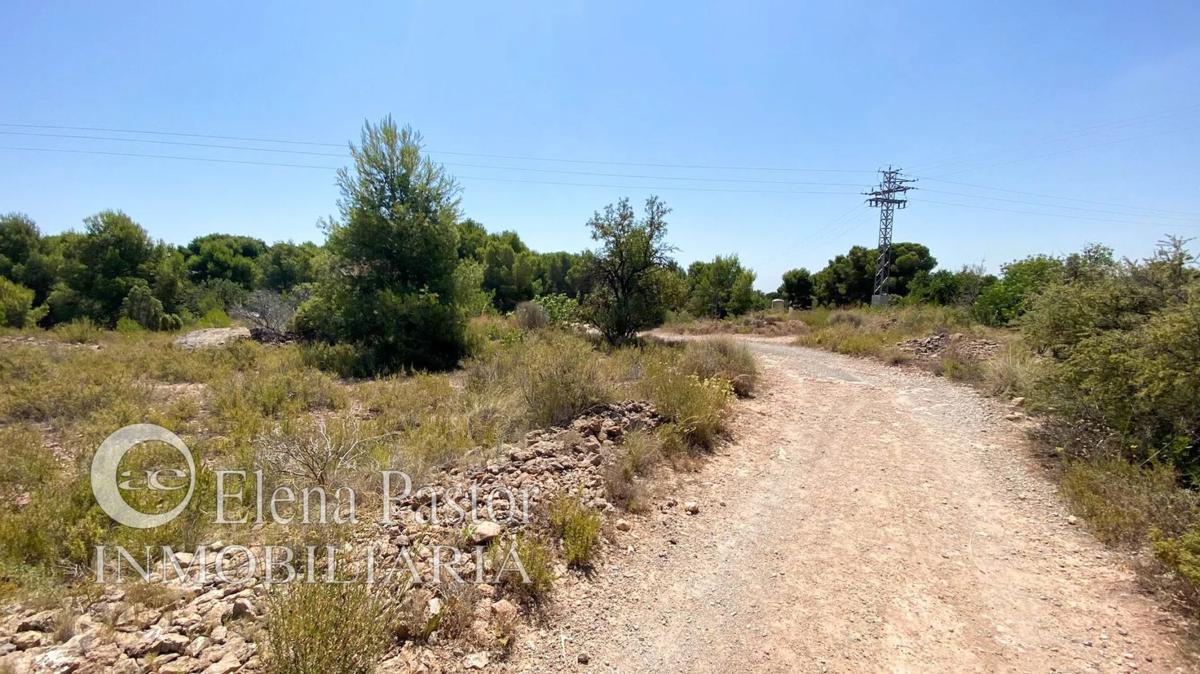Terreno en venta en Bétera, Valencia photo 3