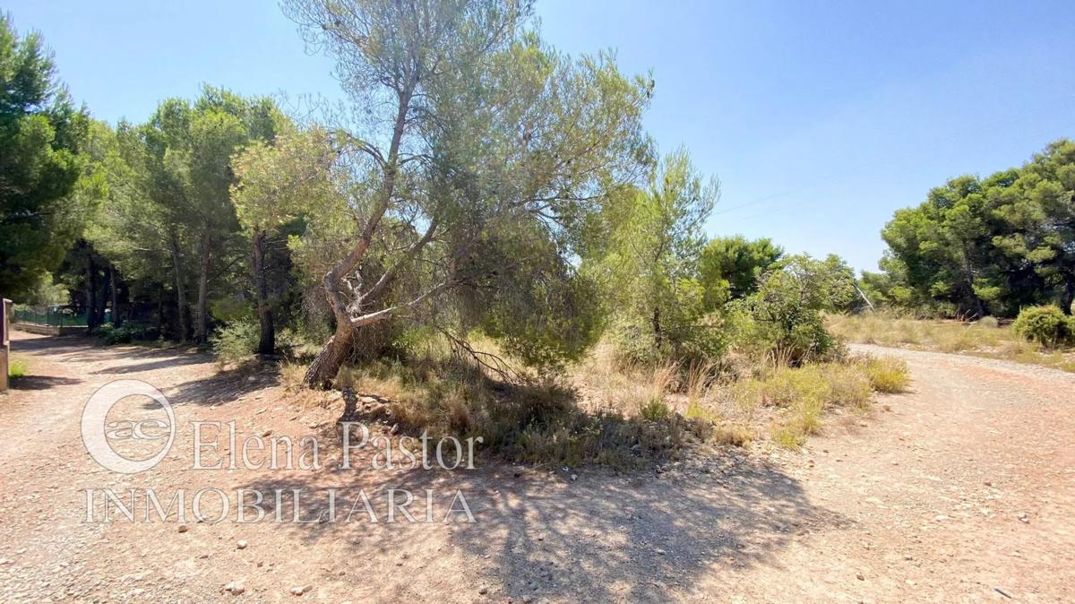 Terreno en venta en Bétera, Valencia photo 4