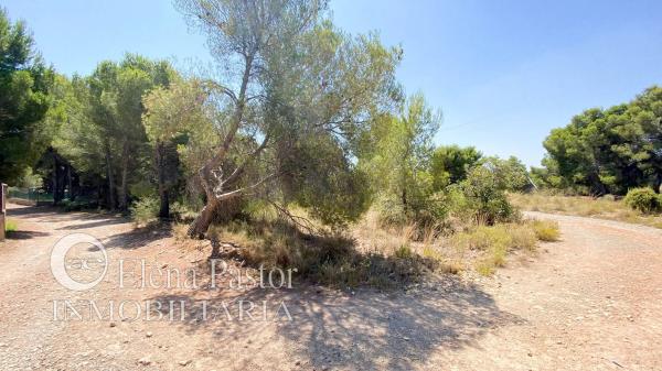 Terreno en les almudes s/n photo 4