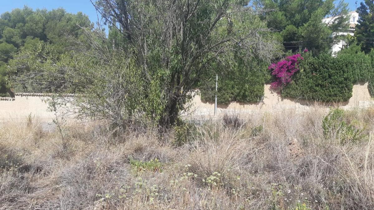 Terreno en venta en Bétera, Valencia photo 3