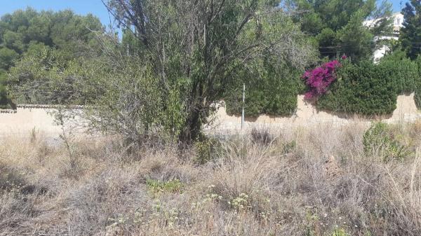 Terreno en calle de les Pedreres, 4 thumbnail 2
