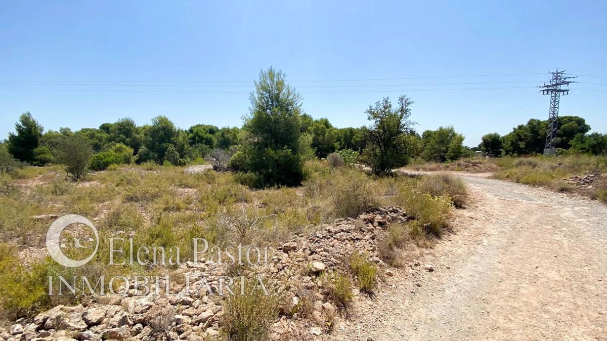 Terreno en venta en Bétera, Valencia photo 5