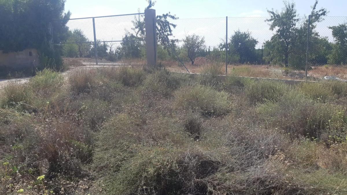 Terreno en venta en Bétera, Valencia photo 4