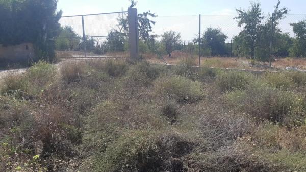 Terreno en calle de les Pedreres, 4 photo 4