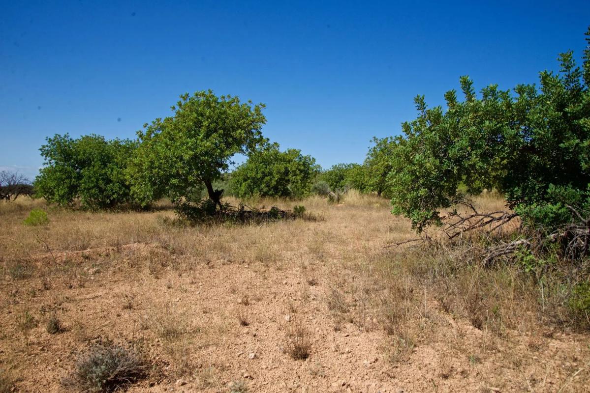 Terreno en venta en Olocau, Valencia photo 1