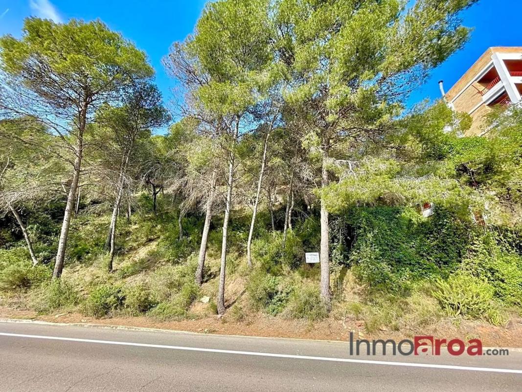 Terreno en venta en Náquera, Valencia photo 2