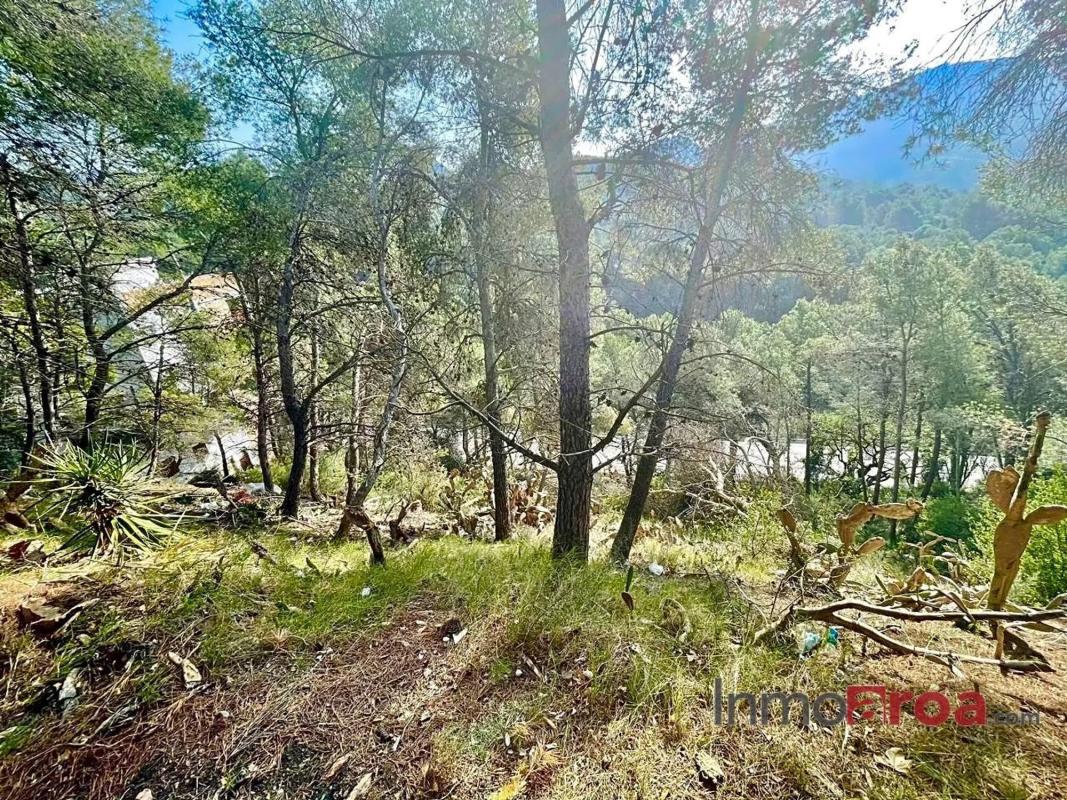 Terreno en venta en Náquera, Valencia photo 3