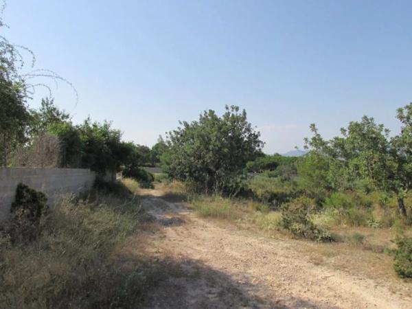 Terreno en La Conarda s/n photo 1