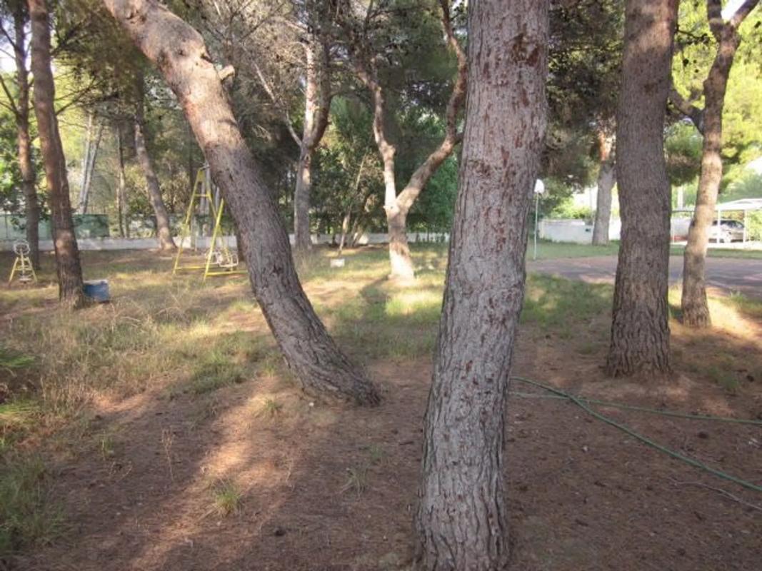 Terreno en venta en Bétera, Valencia photo 4