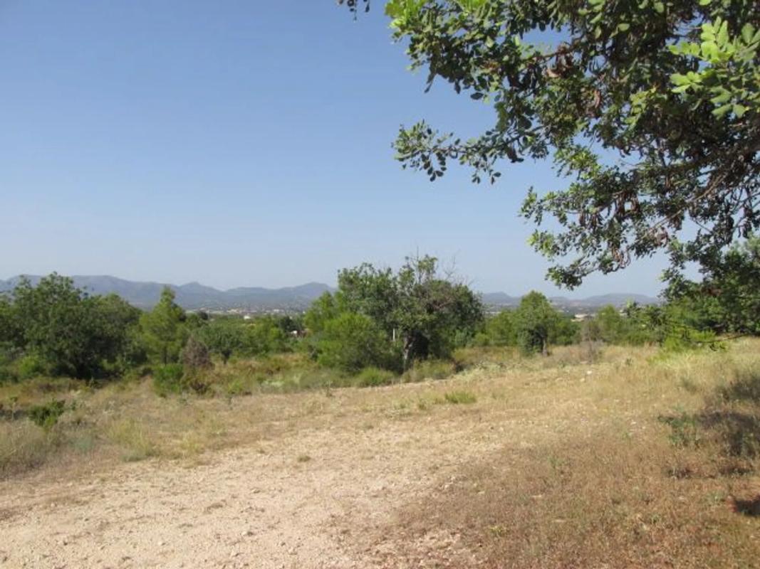 Terreno en venta en Bétera, Valencia photo 3