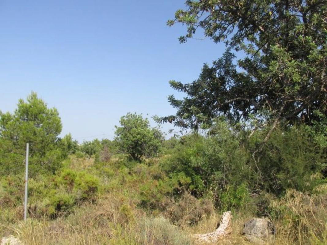 Terreno en venta en Bétera, Valencia photo 4