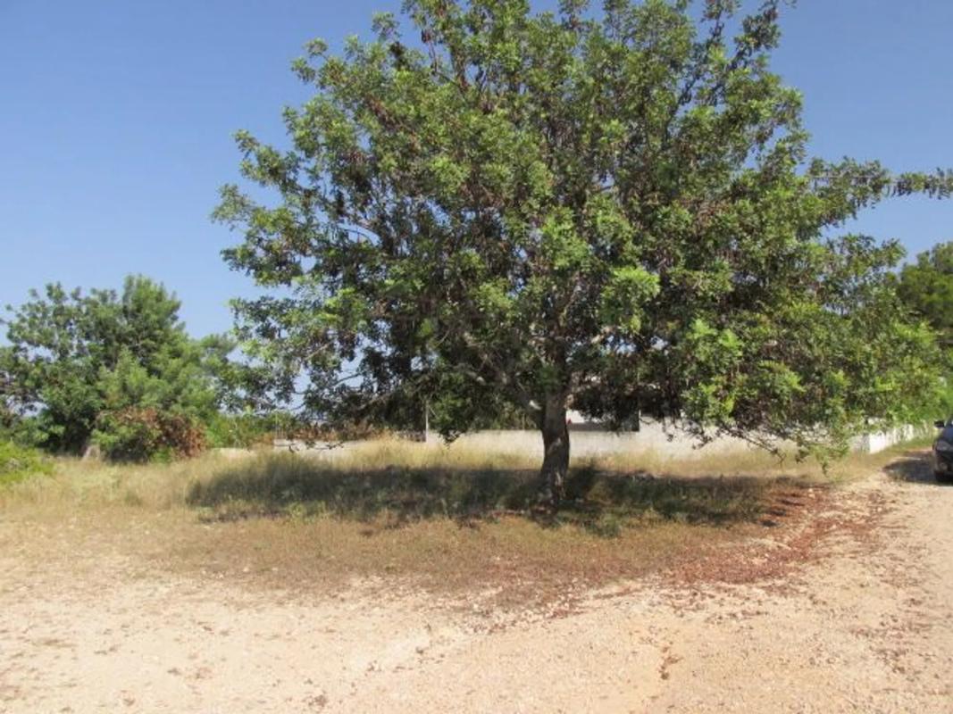 Terreno en venta en Bétera, Valencia photo 5