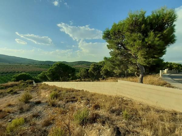 Terreno en Oliveres photo 3