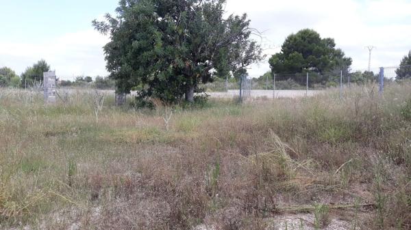 Terreno en calle n 9 Lloma I, 12 f photo 2