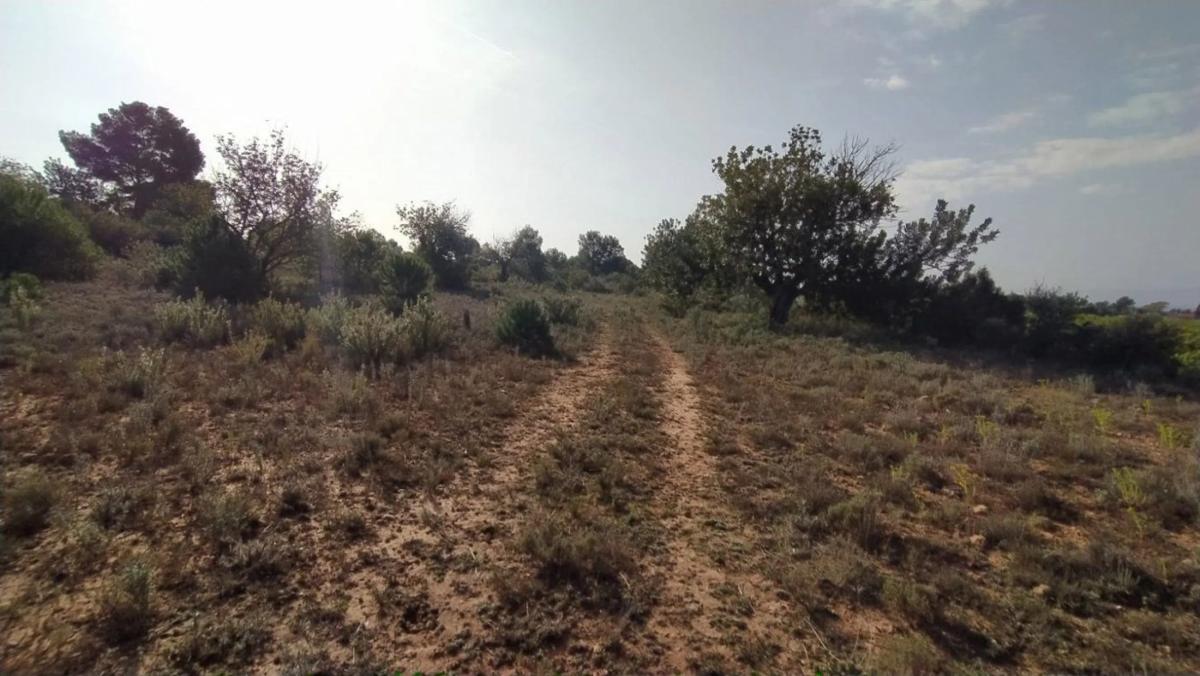 Участок земли на продажу в Ллирия, Валенсия photo 1