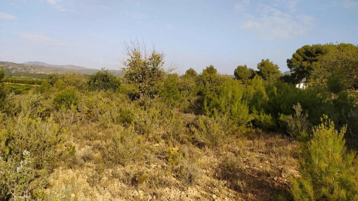 Участок земли на продажу в Ллирия, Валенсия photo 3