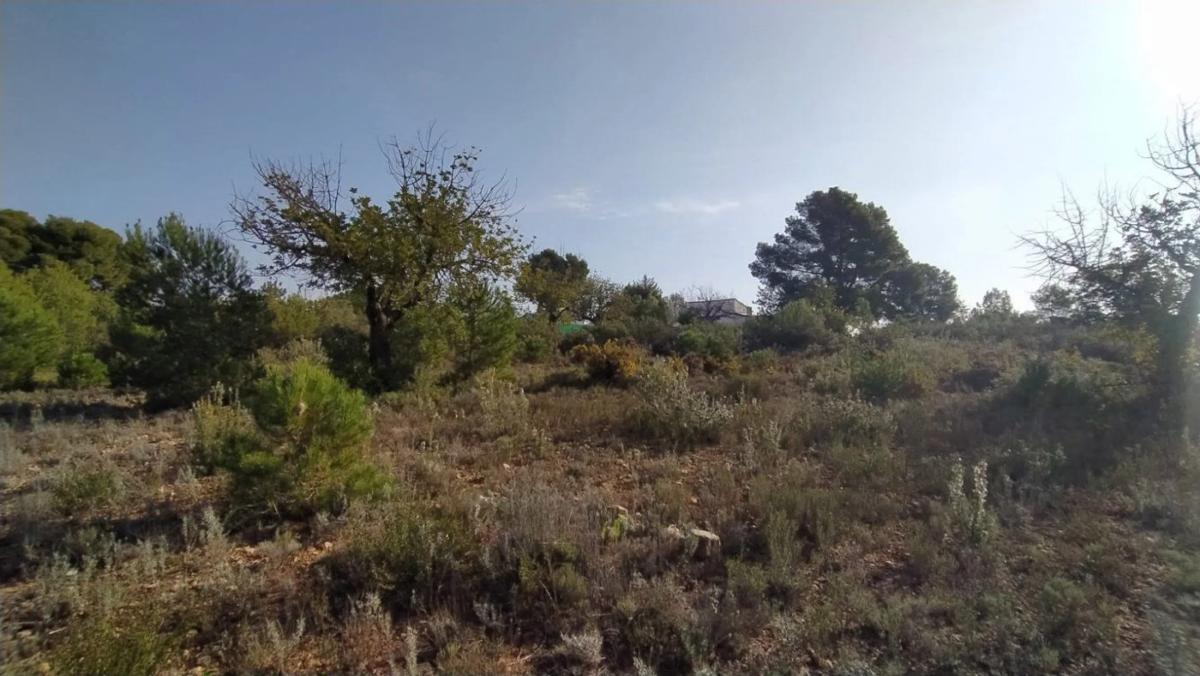 Участок земли на продажу в Ллирия, Валенсия photo 4