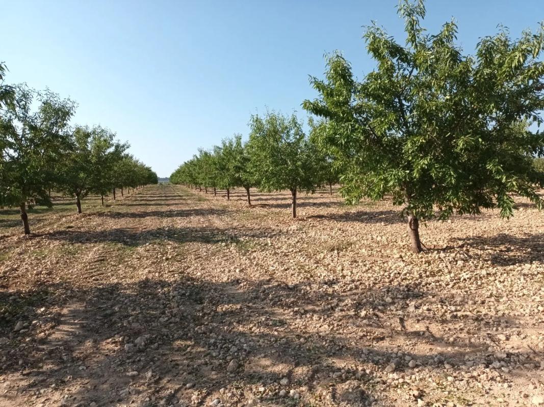Terreno en venta en San Antonio de Benagéber, Valencia photo 3