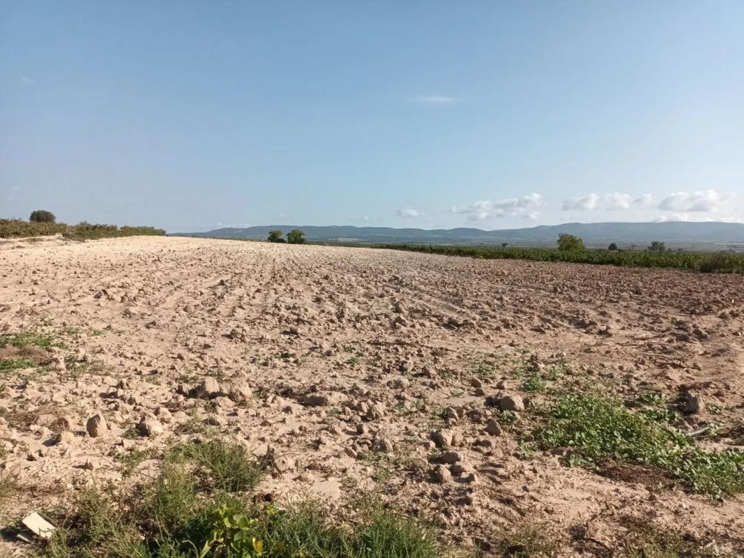 Terreno en venta en San Antonio de Benagéber, Valencia photo 4