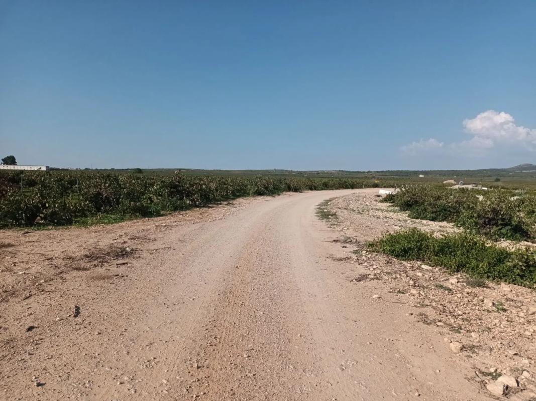 Terreno en venta en San Antonio de Benagéber, Valencia photo 5