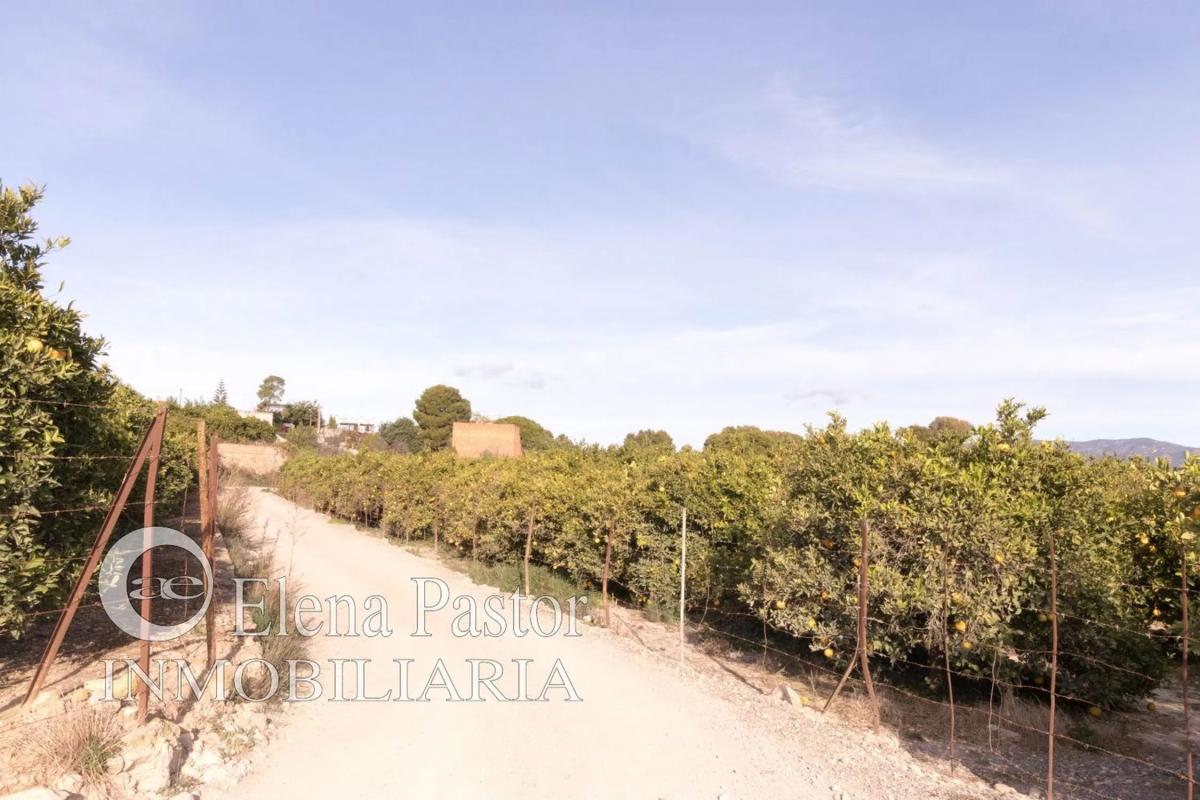 Land for sale in Bétera, Valencia photo 1