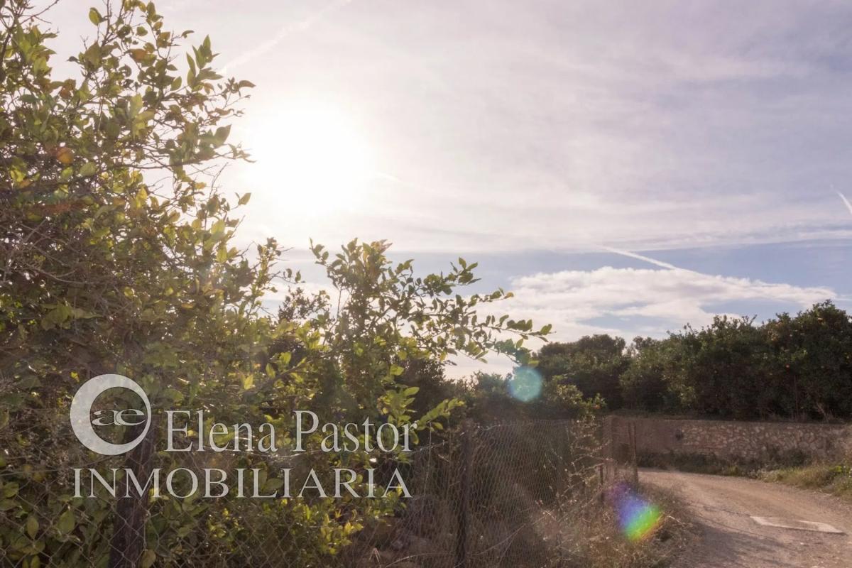 Land for sale in Bétera, Valencia photo 3