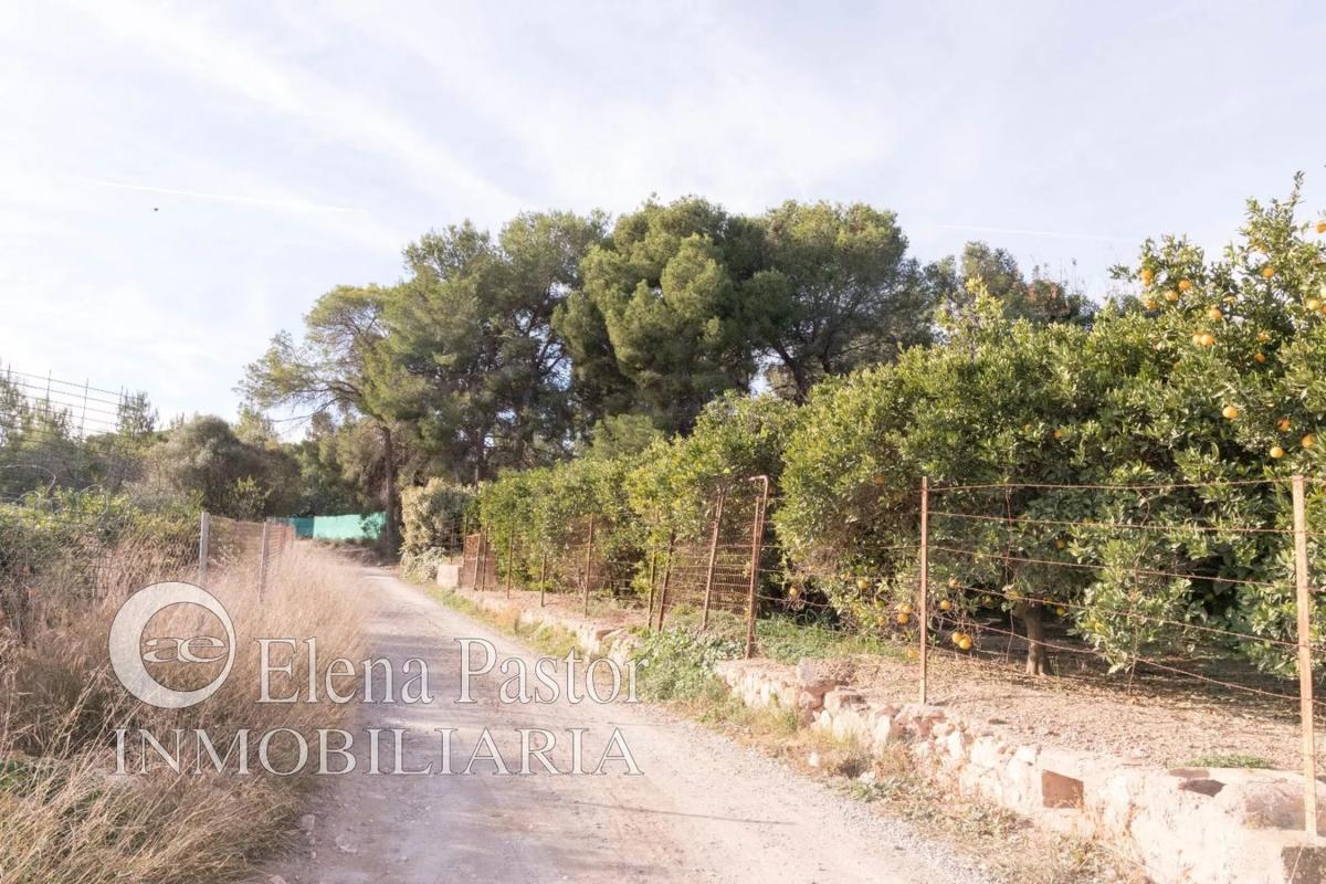 Land for sale in Bétera, Valencia photo 5