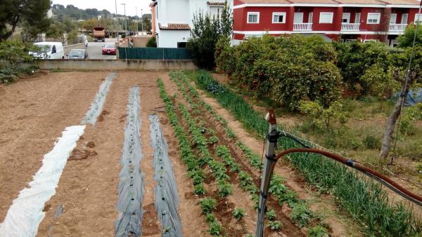 Terreno en Urbanització Camí la Pobla, 1 photo 3