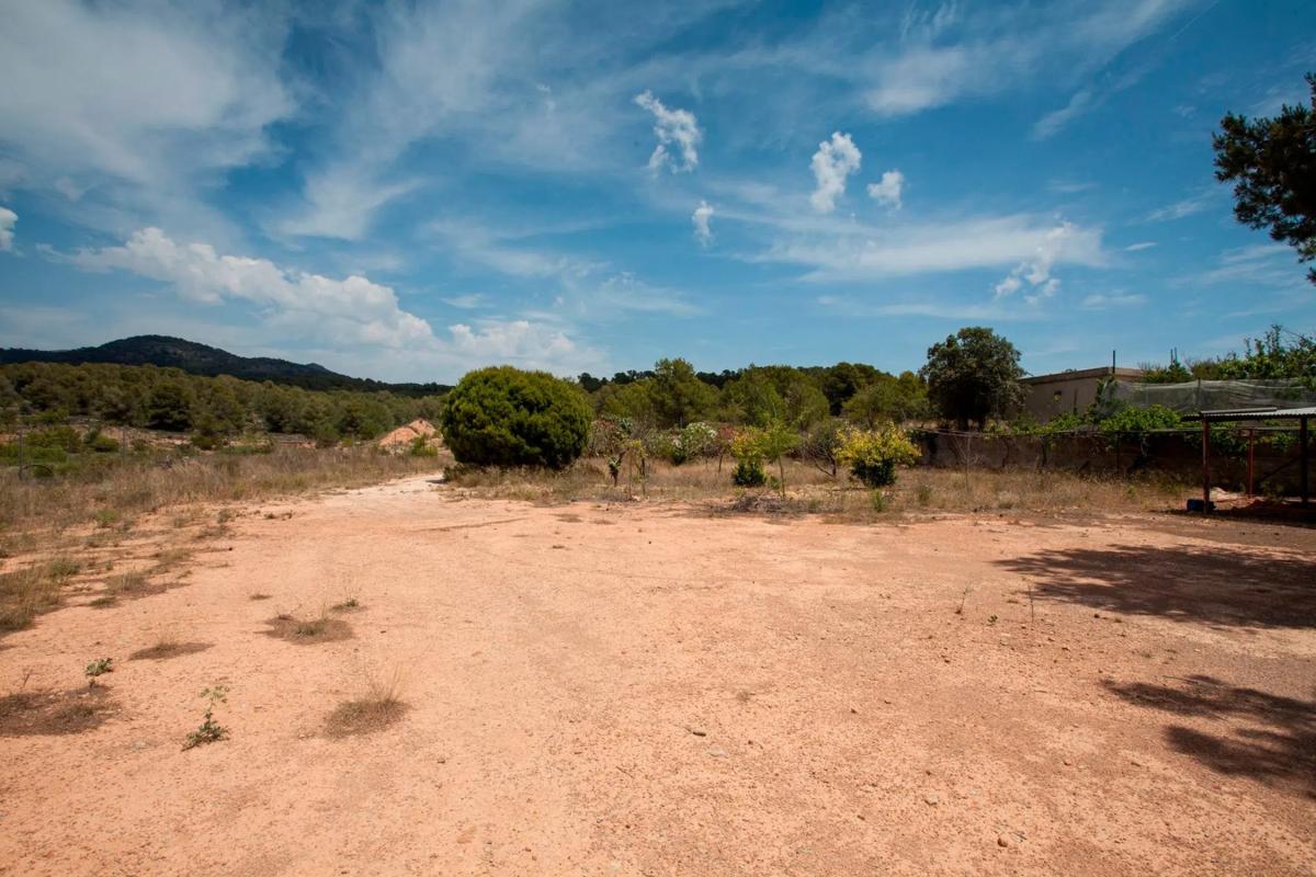 Terreno en venta en Náquera, Valencia photo 2