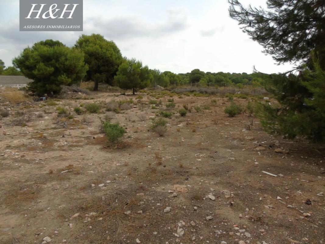 Terreno en venta en Bétera, Valencia photo 4