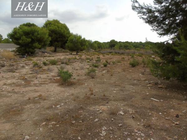 Terreno en Camì Paterna-Lloma del Calderer photo 4