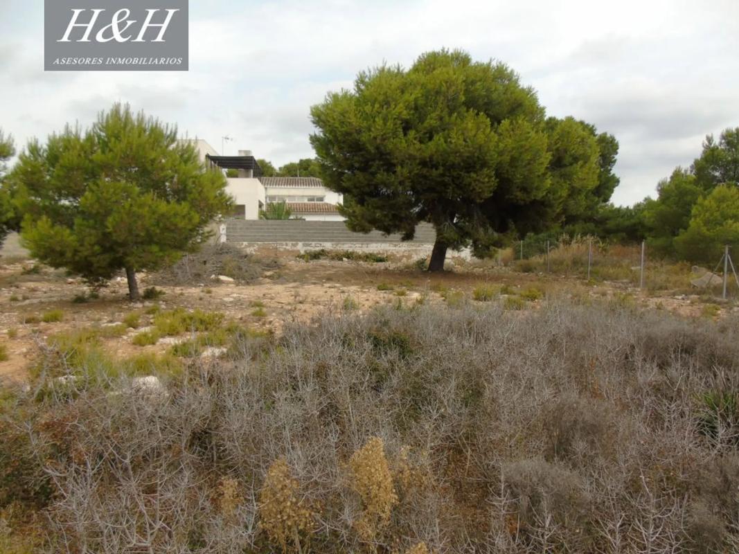 Terreno en venta en Bétera, Valencia photo 5