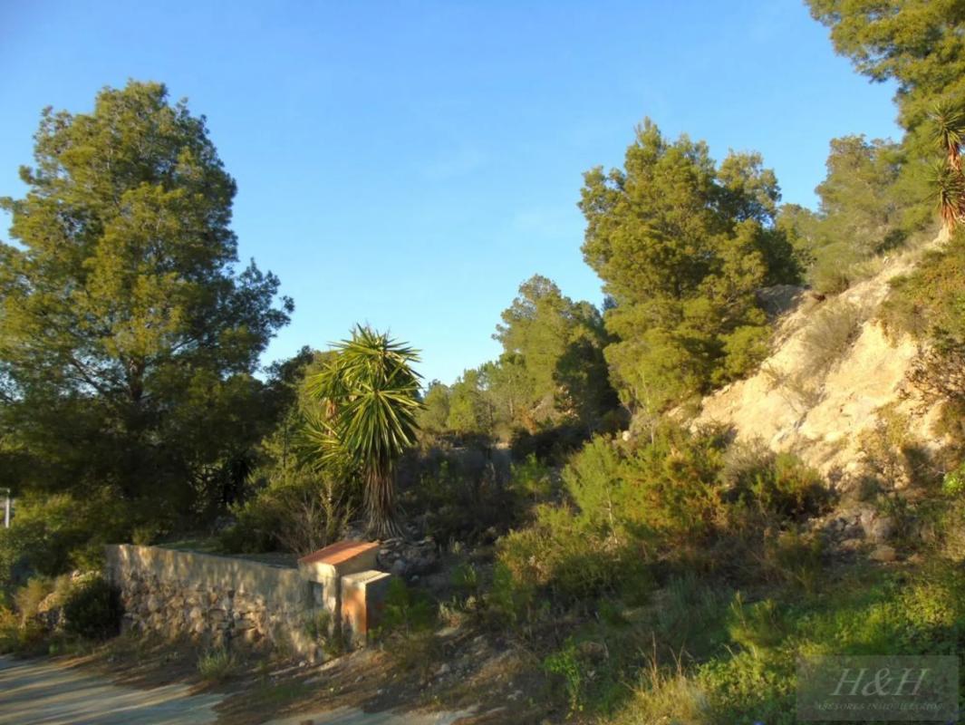 Terreno en venta en Olocau, Valencia photo 3