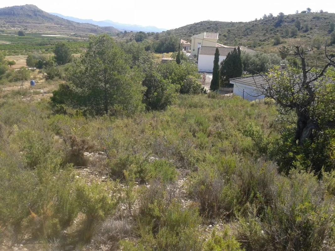 Terreno en venta en Benaguasil, Valencia photo 2