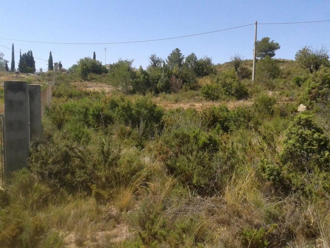 Terreno en venta en Benaguasil, Valencia photo 4