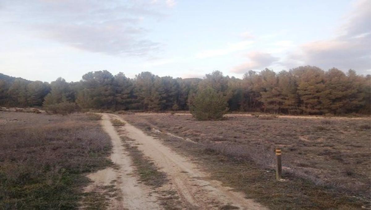 Terreno en venta en Ayora, Valencia photo 1