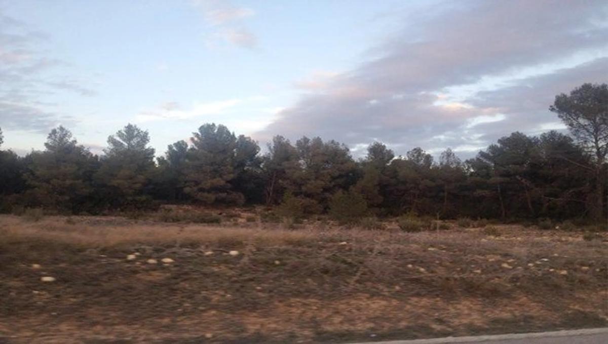 Terreno en venta en Ayora, Valencia photo 2
