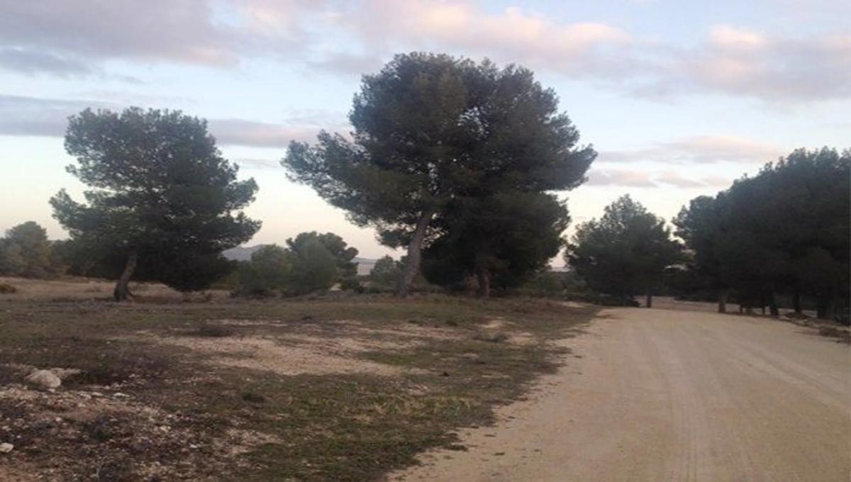 Terreno en venta en Ayora, Valencia photo 4