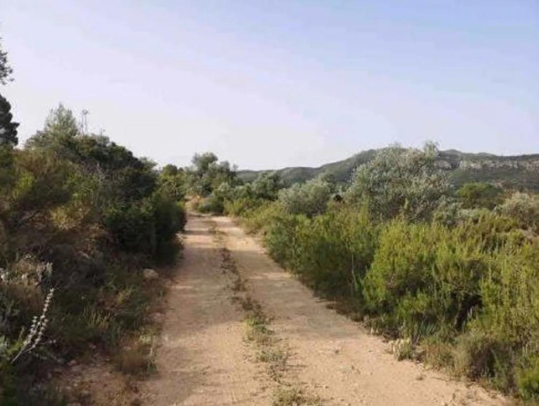 Terreno en venta en Jalance, Valencia photo 5