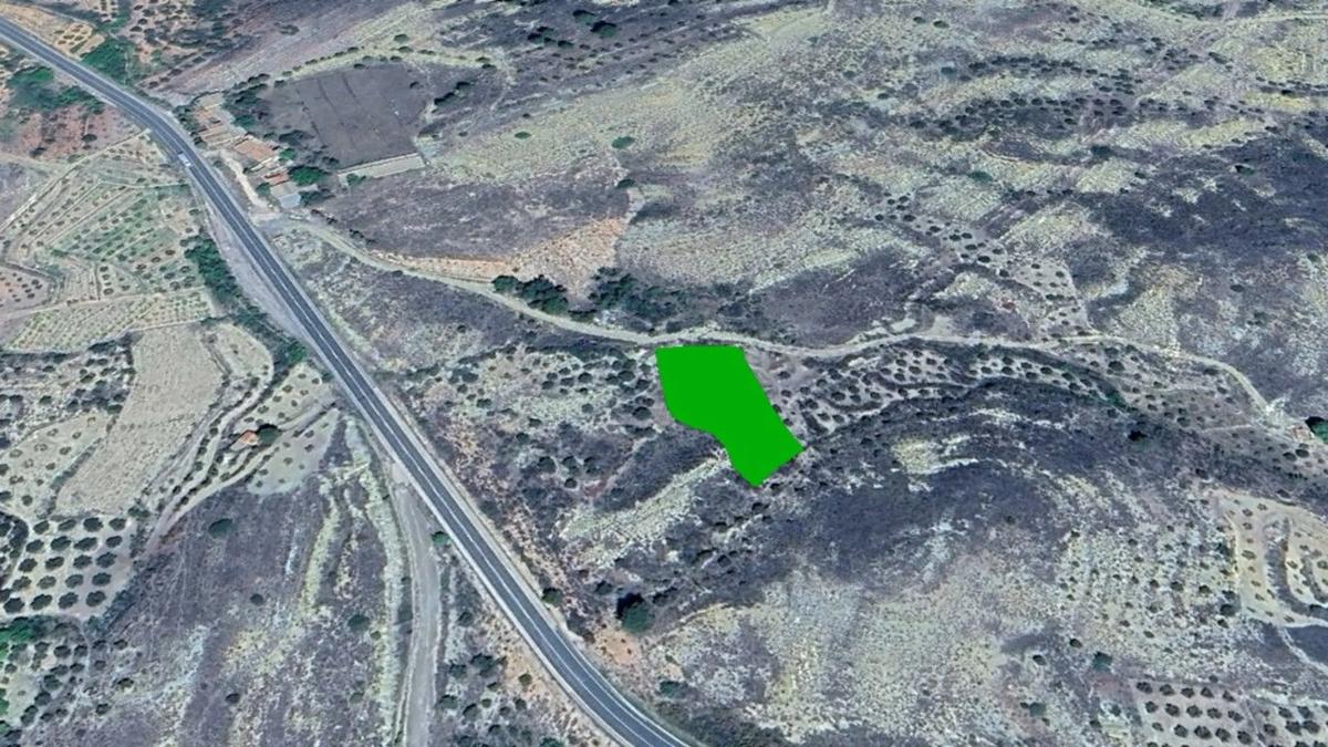 Land for sale in Jarafuel, Valencia photo 3