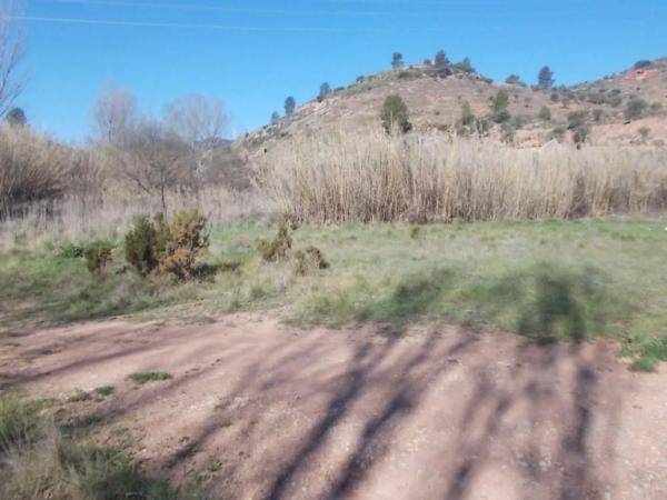 Terreno en calle Fuente del Sol photo 4