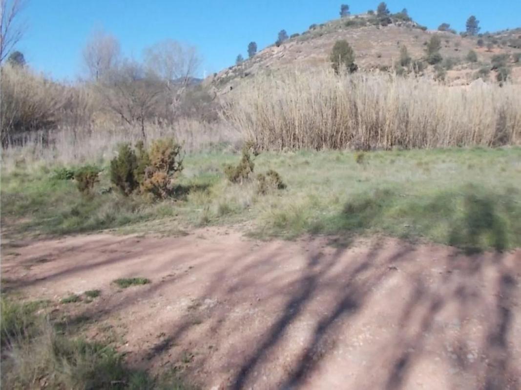 Terreno en venta en Jarafuel, Valencia photo 3