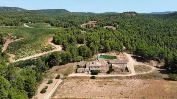 Terreno en Ayora photo 1
