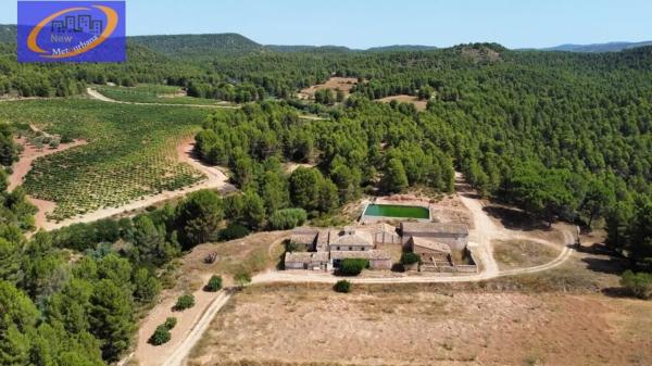 Terreno en Cofrentes photo 1